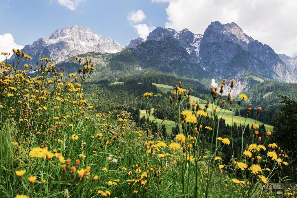 Appartementhaus Salzmann Leogang Εξωτερικό φωτογραφία